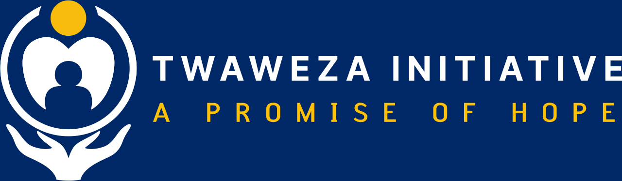 Twaweza Initiative Team
